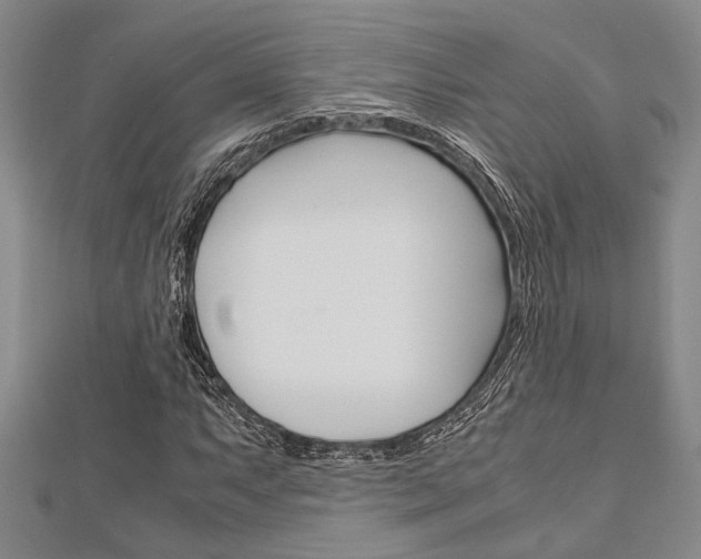 X0000113151063200909040927