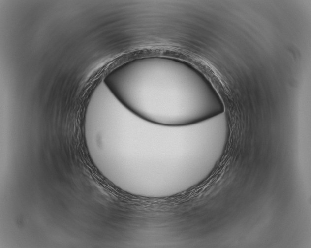 X0000113151064200909040927