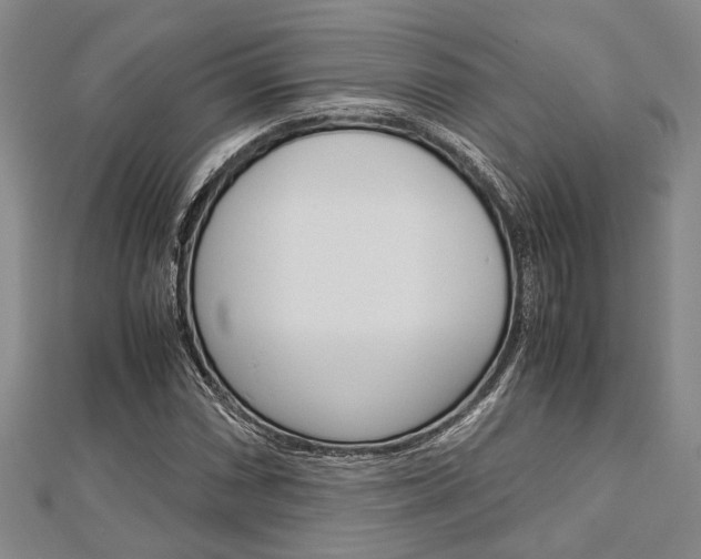 X0000113151066200909040927