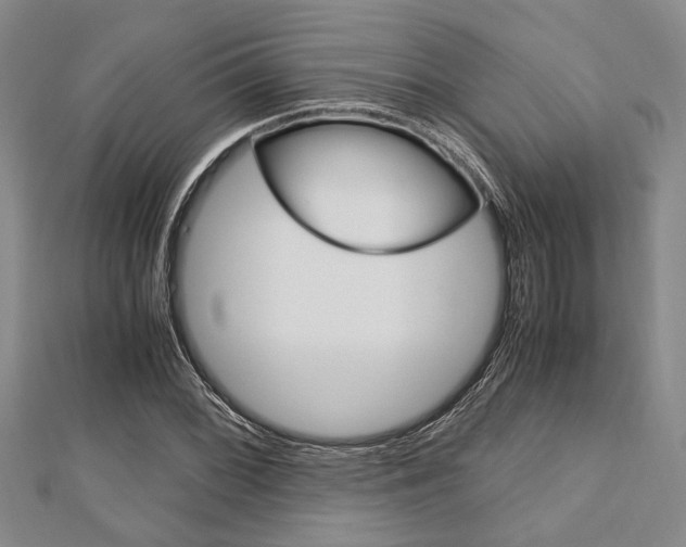 X0000113151068200909040927