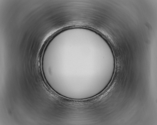 X0000113151070200909040927