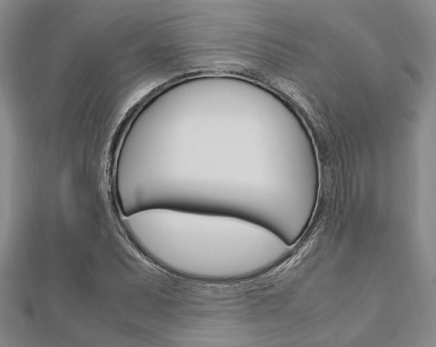 X0000113151071200909040927