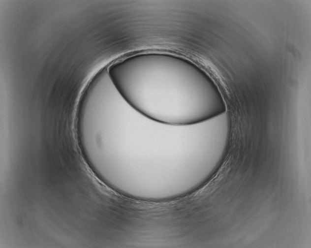 X0000113151072200909040927