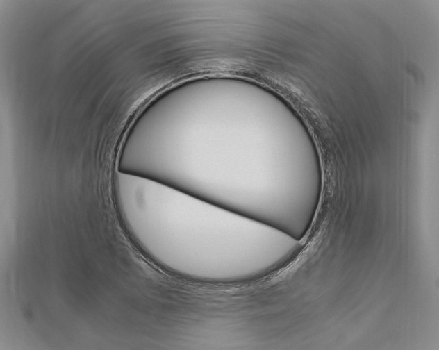 X0000113151073200909040927