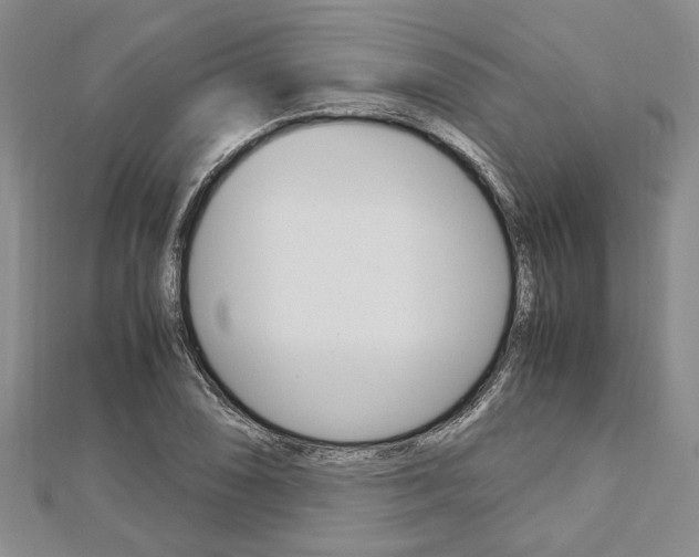 X0000113151074200909040927