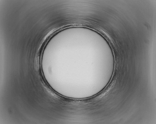 X0000113151075200909040927