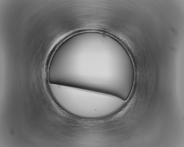 X0000113151077200909040927