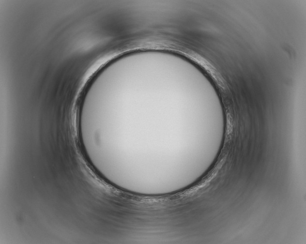 X0000113151078200909040927