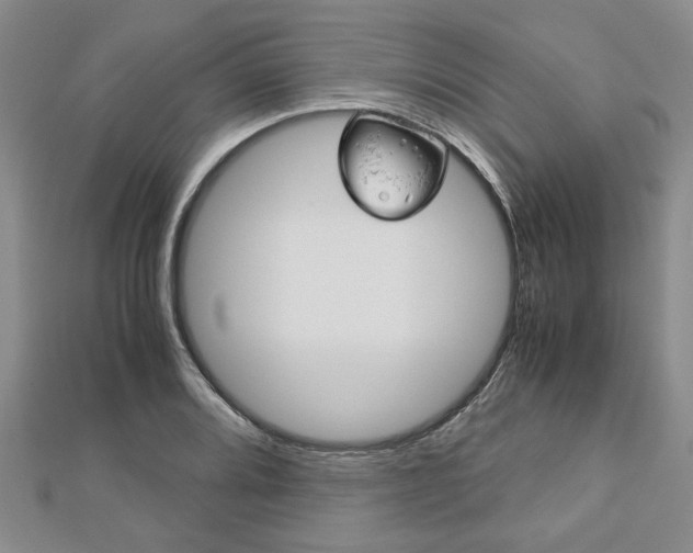 X0000113151080200909040927