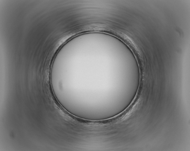 X0000113151081200909040927