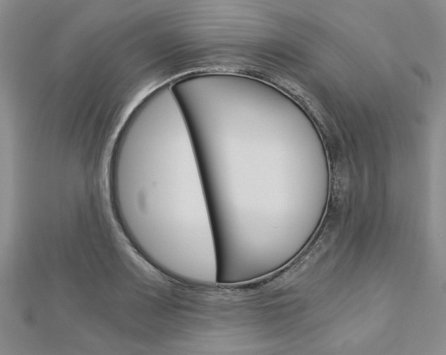 X0000113151083200909040927