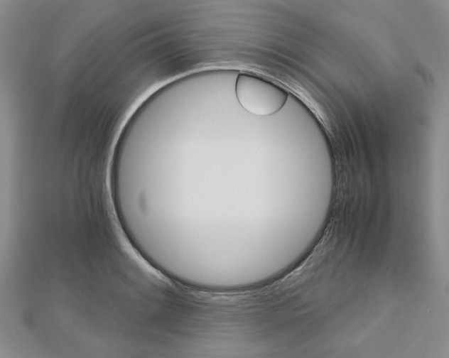 X0000113151084200909040927