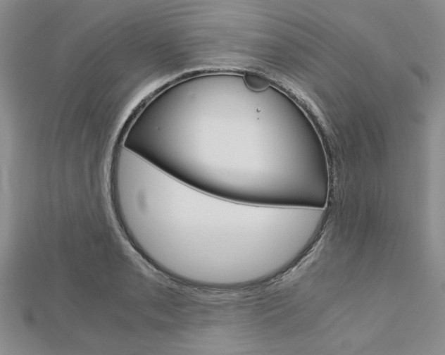 X0000113151085200909040927