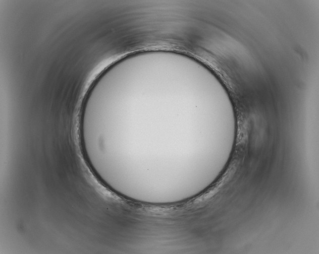 X0000113151086200909040927
