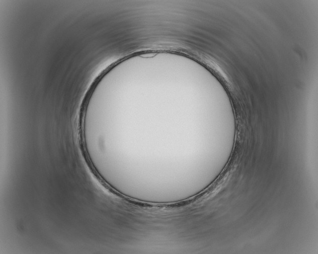 X0000113151087200909040927