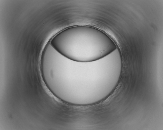 X0000113151088200909040927