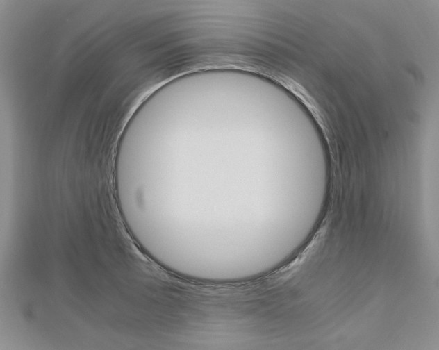 X0000113151089200909040927
