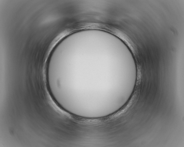 X0000113151090200909040927