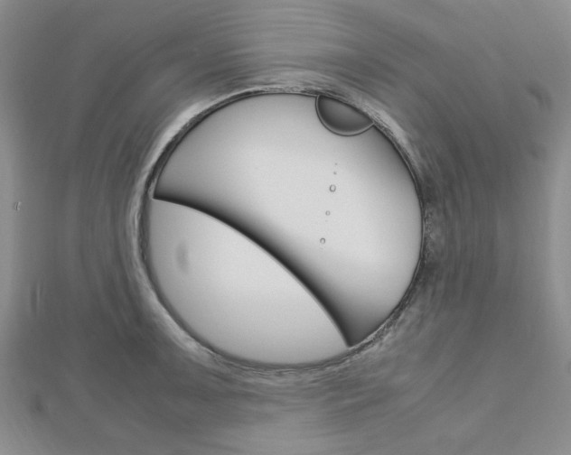 X0000113151091200909040927