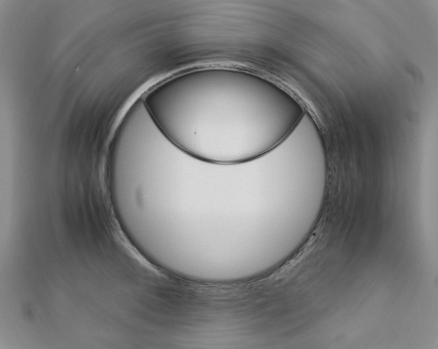 X0000113151092200909040927