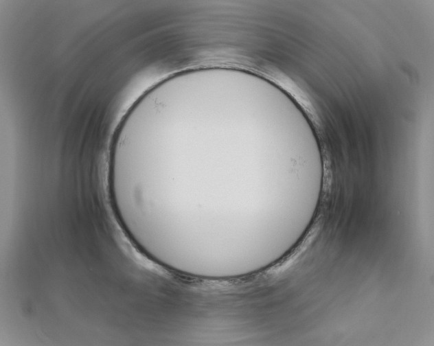 X0000113151094200909040927