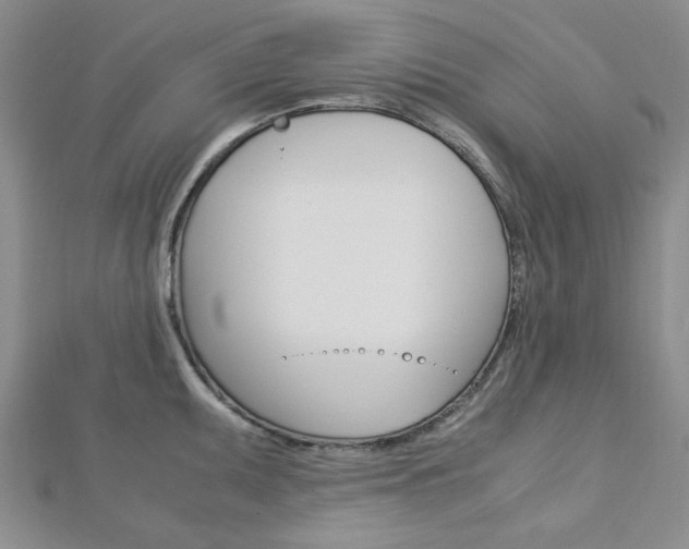 X0000113151095200909040927