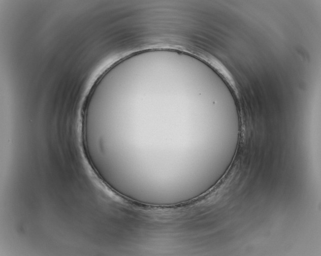 X0000113151096200909040927