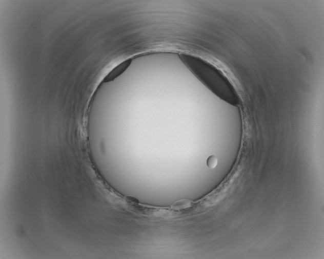 X0000113151097200909040927