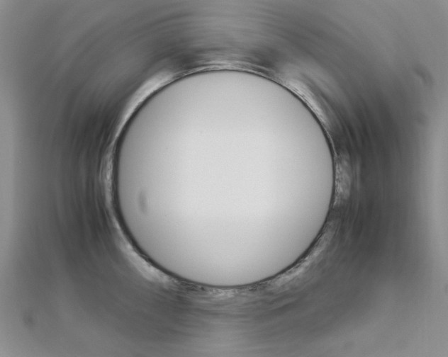 X0000113151098200909040927