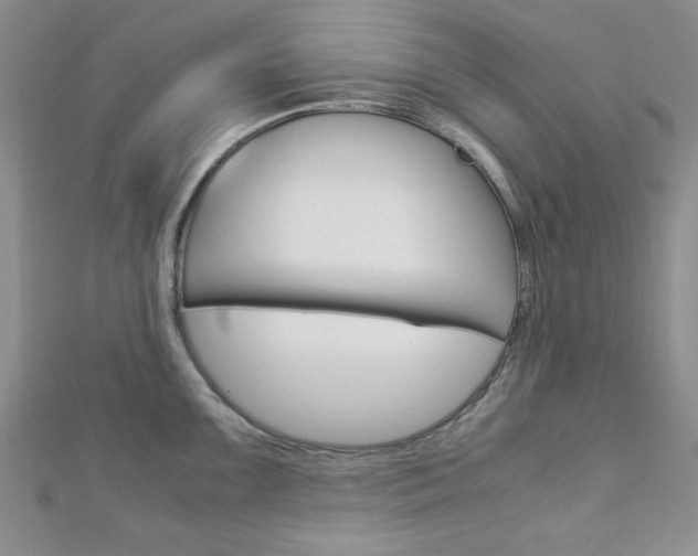 X0000113151099200909040927