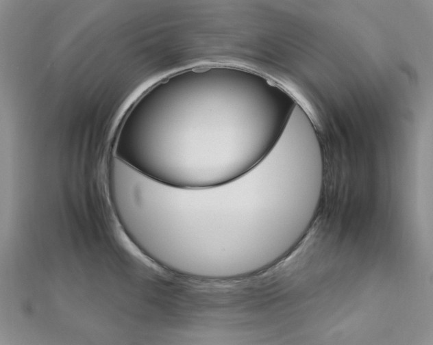 X0000113151100200909040927