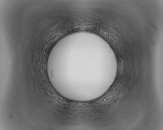 X0000113151105200909040926