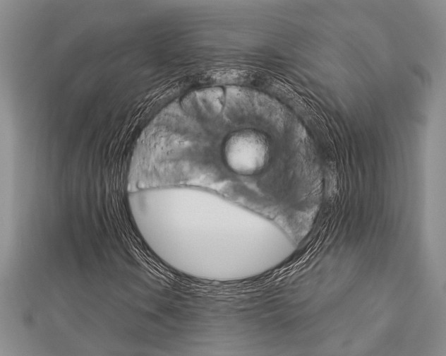 X0000113151106200909040926