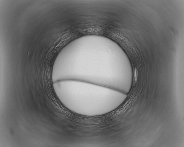 X0000113151107200909040926