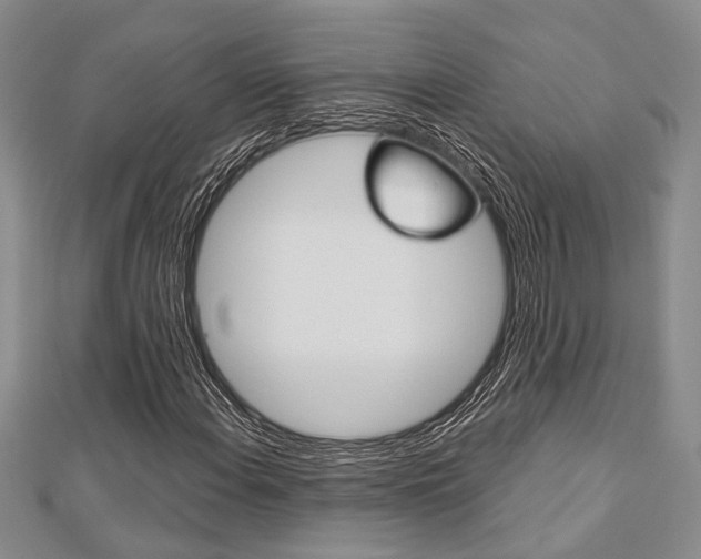 X0000113151108200909040926