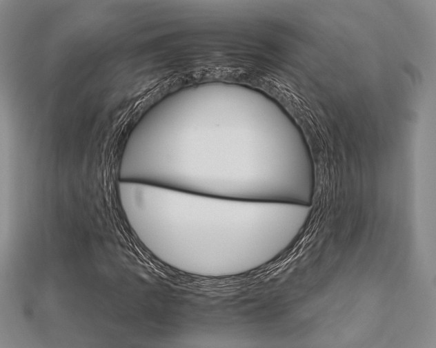 X0000113151109200909040926