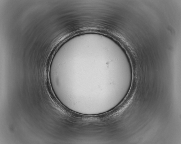 X0000113151113200909040926