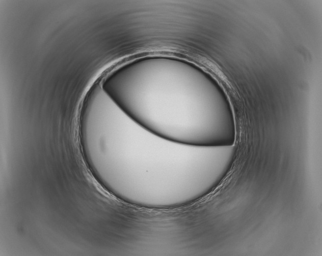 X0000113151116200909040926
