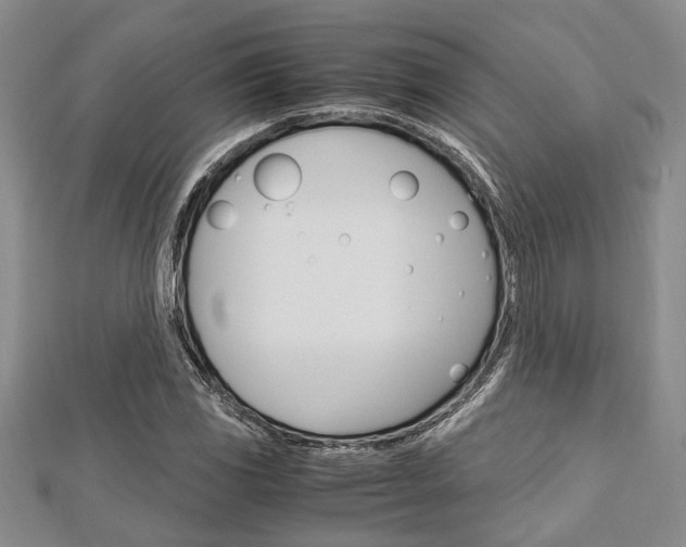 X0000113151117200909040926