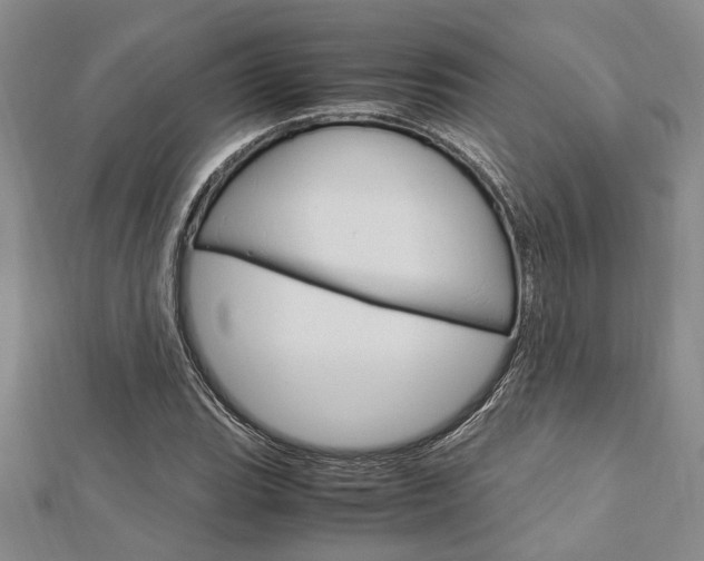 X0000113151119200909040926