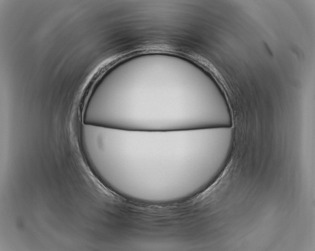 X0000113151123200909040926