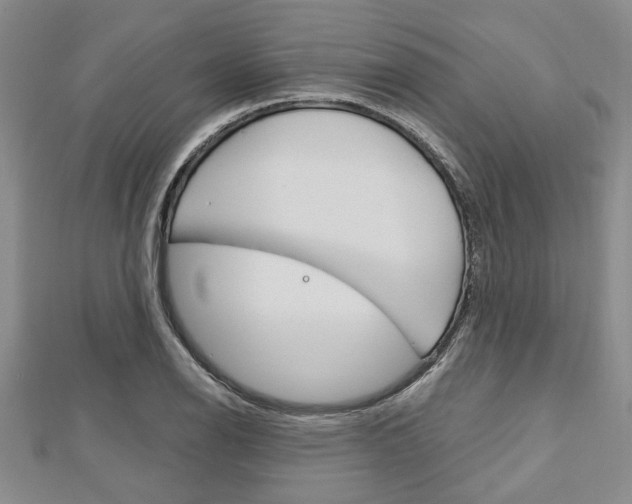 X0000113151126200909040926
