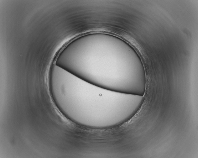 X0000113151127200909040926