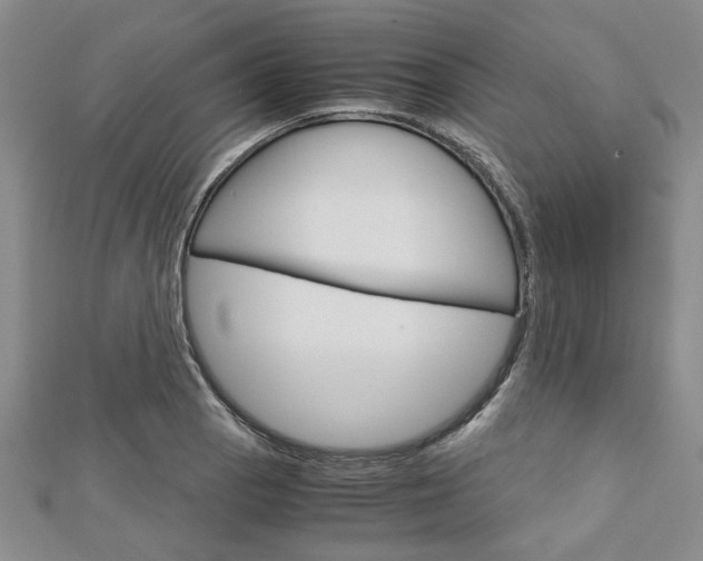 X0000113151129200909040926