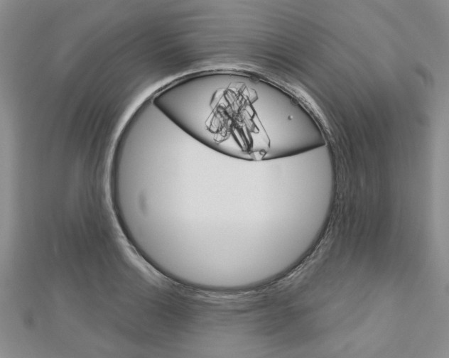 X0000113151132200909040926