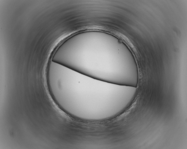 X0000113151133200909040926