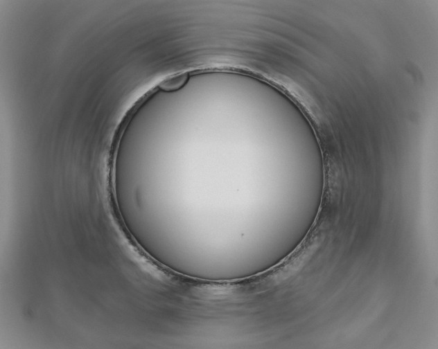 X0000113151134200909040926