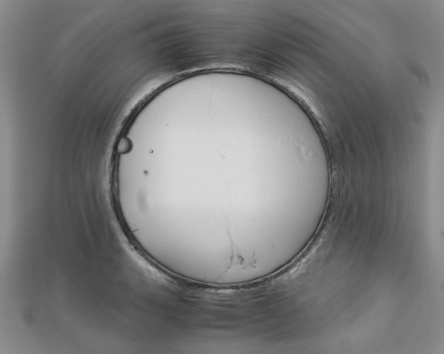 X0000113151135200909040926