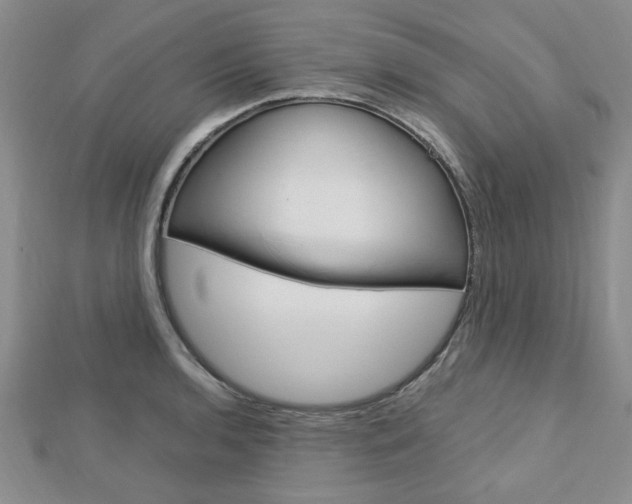 X0000113151136200909040926