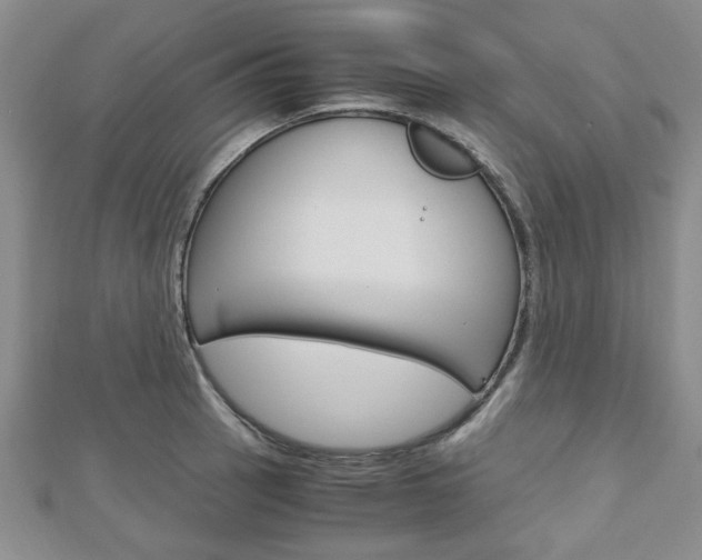 X0000113151137200909040926